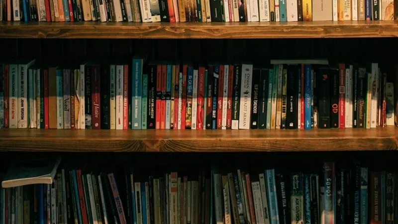 Genel Kültür Nedir, Nasıl Geliştirilir?