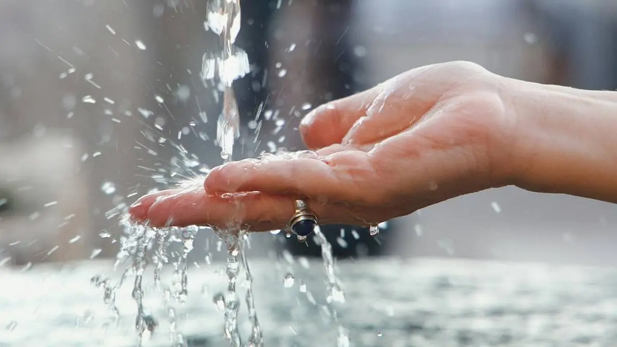 10 Şey Fıtrattandır Hadisi Nedir?