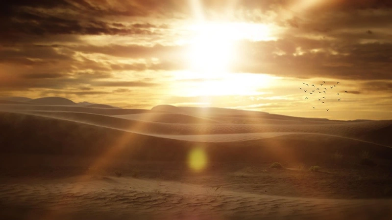 Peygamber Kime Denir? Nebi ve Resûl Arasındaki Fark ve Görevleri